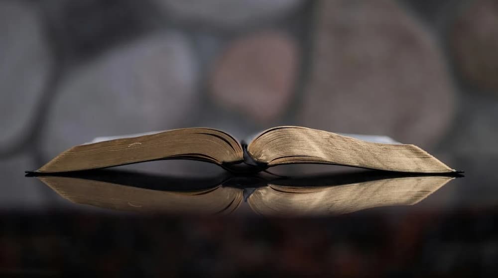 Reading is Knowledge. Knowledge is Power